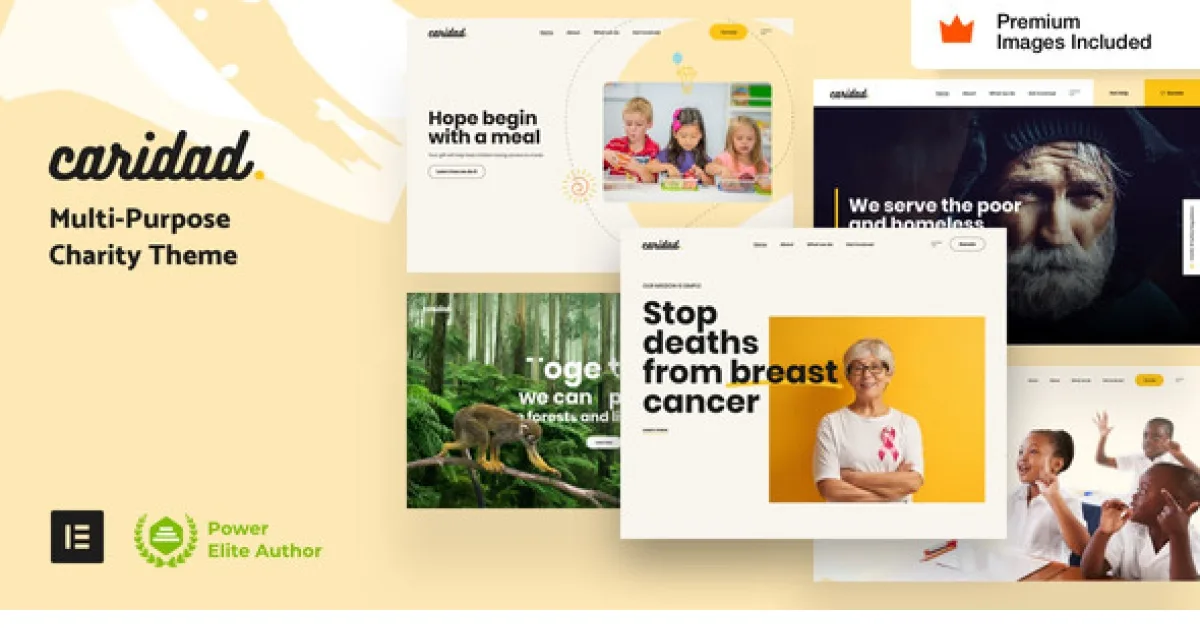 Caridad – Charity WordPress Theme 
