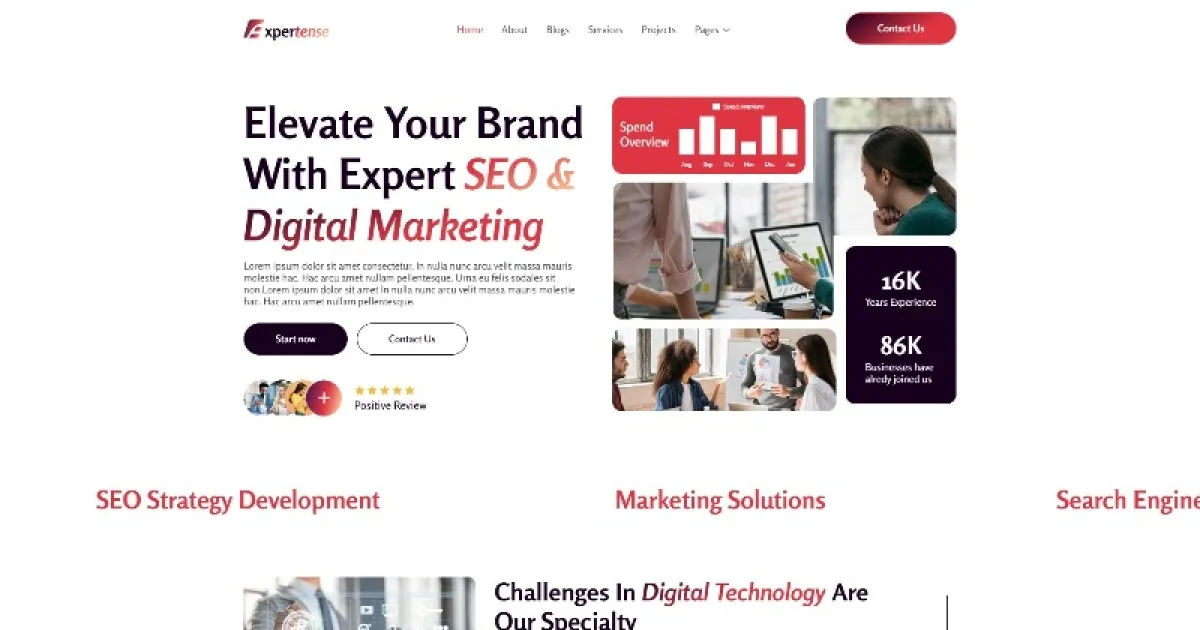 Expertense – SEO & Digital Agency Elementor Template Kit