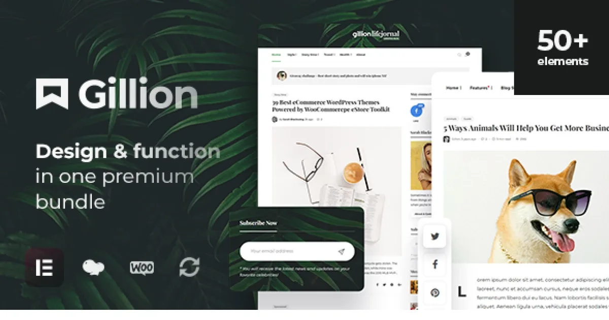 Gillion Theme