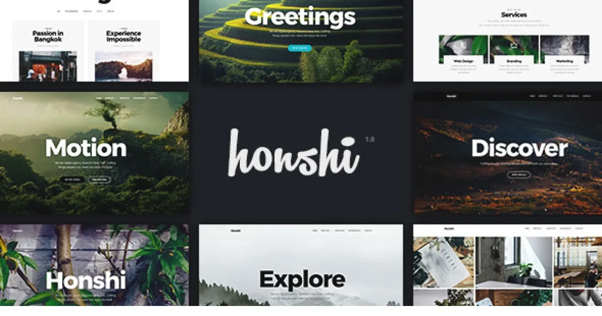 Salient WordPress Theme