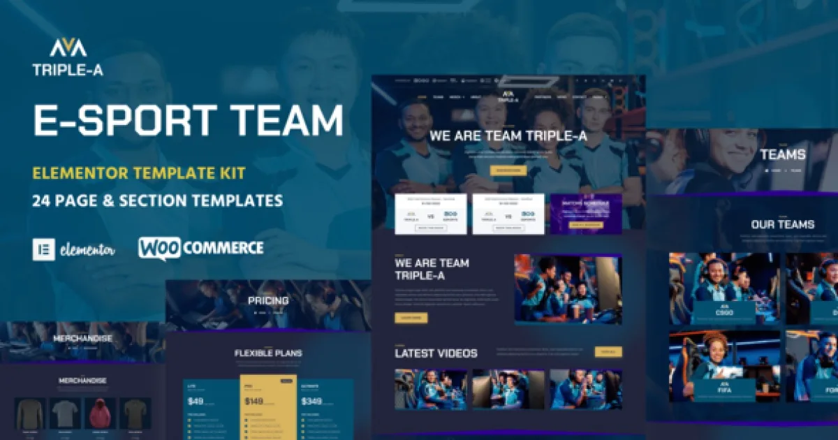 Teams for WooCommerce Memberships Plugin - Official Release Preview