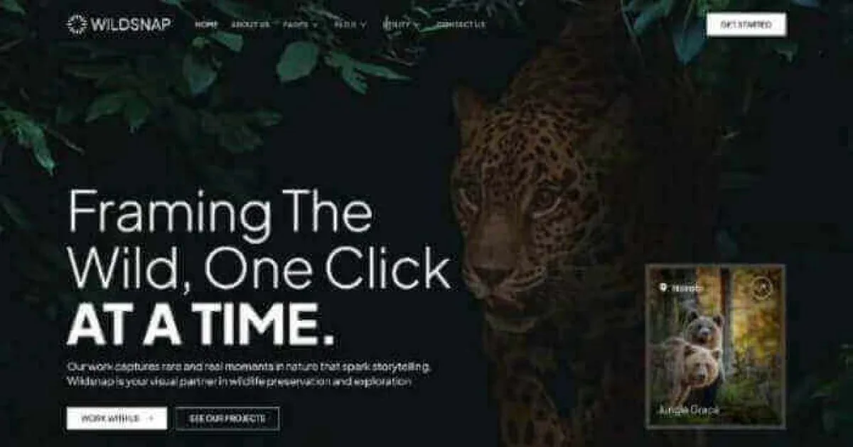 Wildsnap – Wildlife Photography Services Elementor Template Kit
